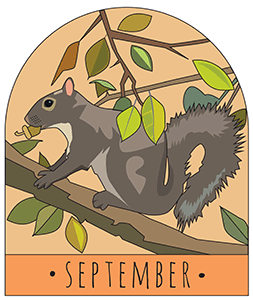 September