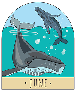 June